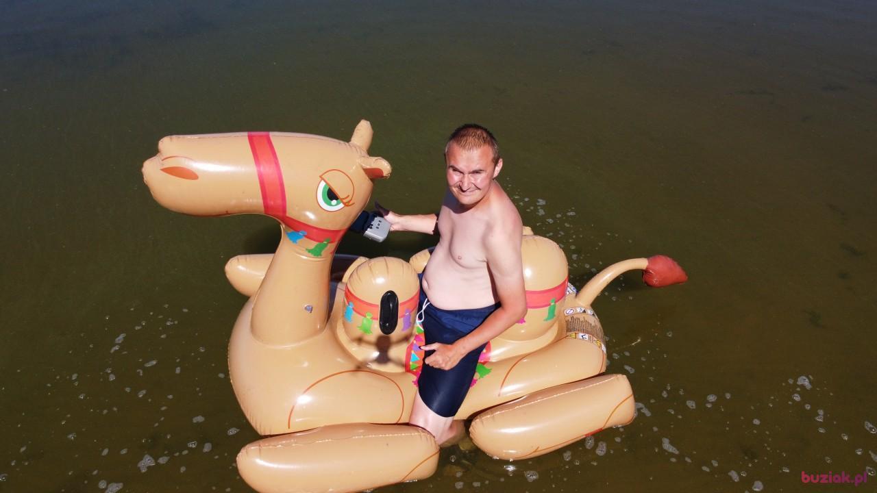 Michał, Male, 37, Zgierz, Polska, Photo: 464