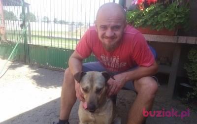 Krzysiek, Mężczyzna, 45, Leszno, Polska, Zdjęcie: 2