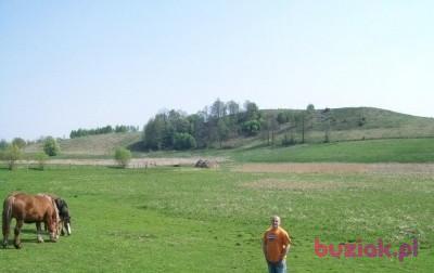 Sławek, Male, 41, Łódź, Polska, Photo: 3