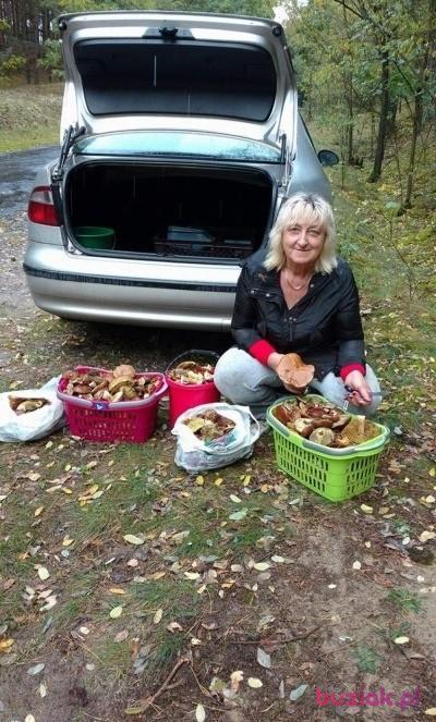 sara20, Kobieta, 64, Świebodzice, Polska, Zdjęcie: 6