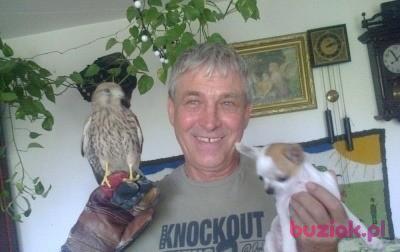 marek, Mężczyzna, 72, Olkusz, Polska, Zdjęcie: 6