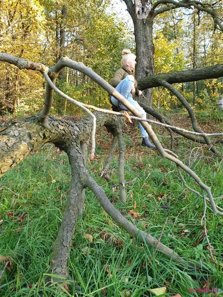 Aśka, Kobieta, 66, Brzeszcze, Polska, Zdjęcie: 3