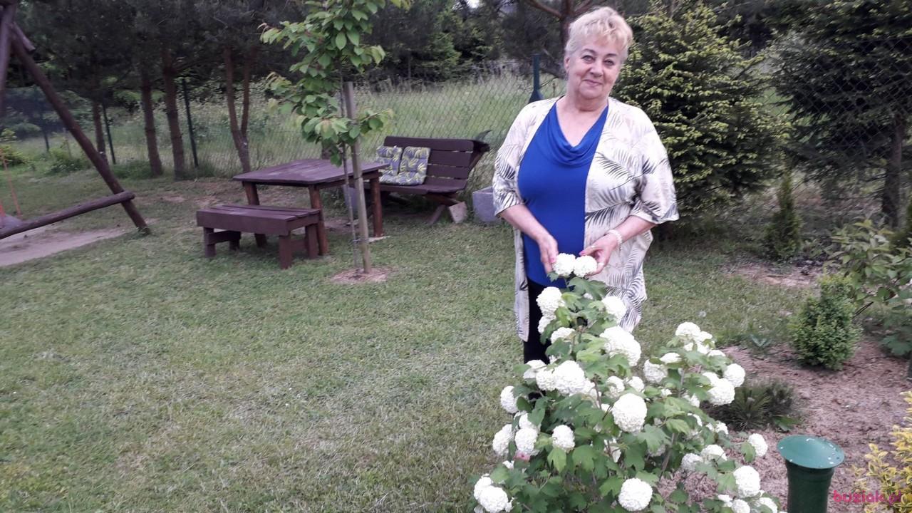 IRENKA, Kobieta, 73, Braniewo, Polska, Zdjęcie: 3
