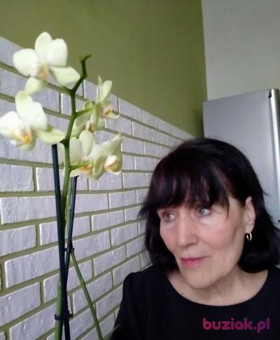 Nadia, Female, 75, Brodnica, Polska, Photo: 2