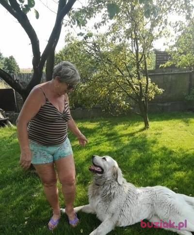 Halina, Female, 81, Mikołów, Polska, Photo: 19