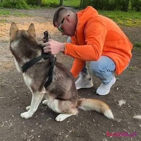 Przemek, Mężczyzna, 37, Lublin, Polska, Zdjęcie: 2