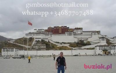 Wladek, Male, 56, Berlin, Niemcy, Photo: 10