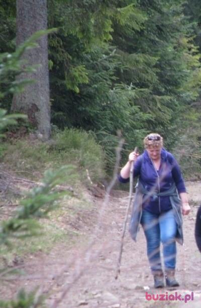 Danuta, Kobieta, 64, Bytom, Polska, Zdjęcie: 5