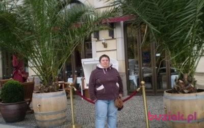 Jolanta, Kobieta, 51, Lubawka, Polska, Zdjęcie: 2