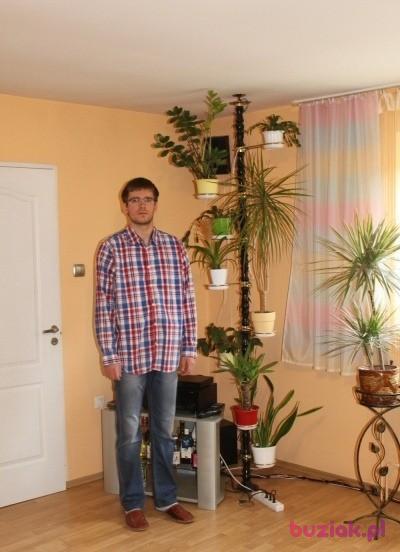 Kamil, Male, 36, Ząbkowice Śląskie, Polska, Photo: 4