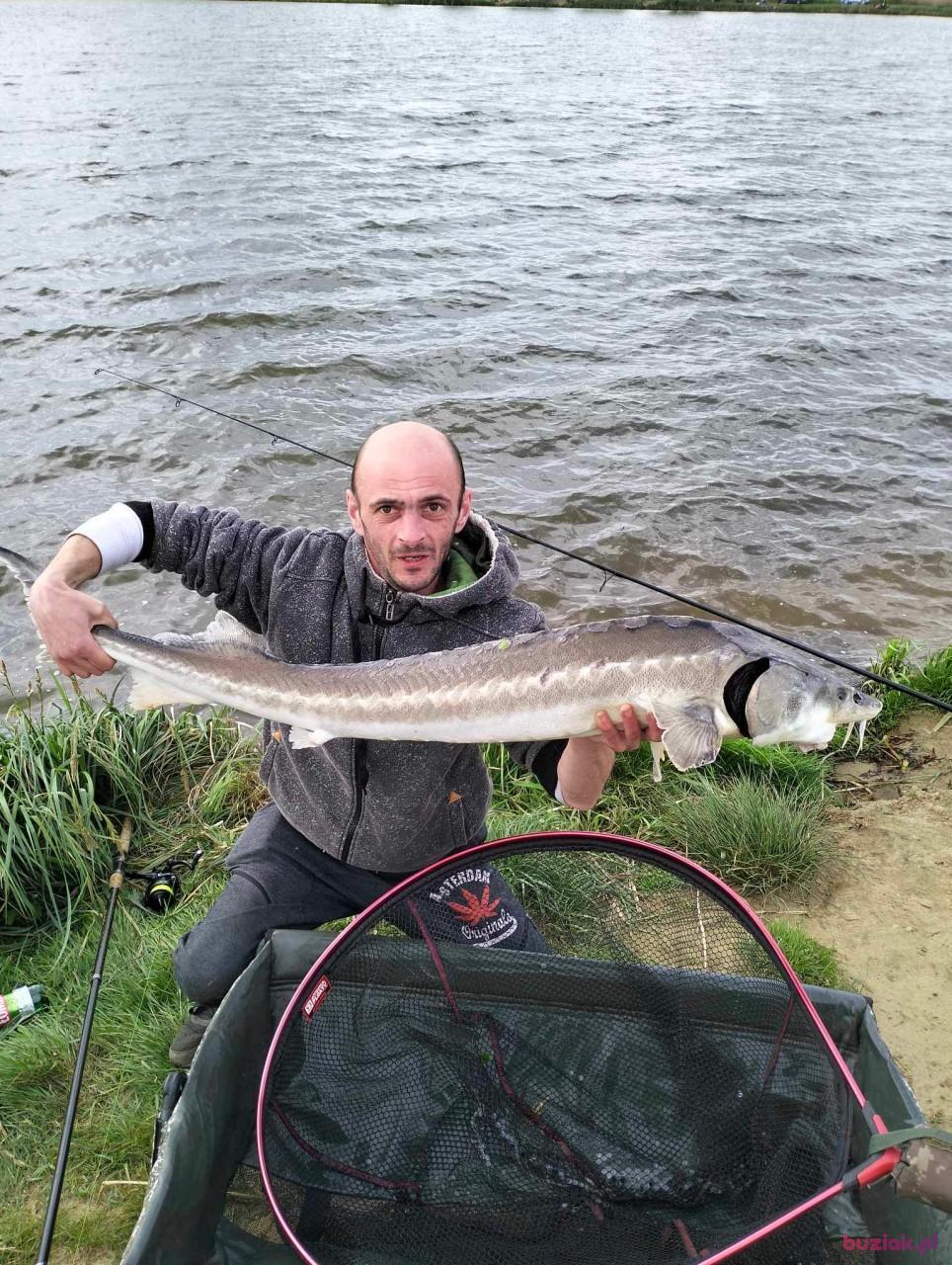 pawel, Mężczyzna, 43, Legnica, Polska, Zdjęcie: 4