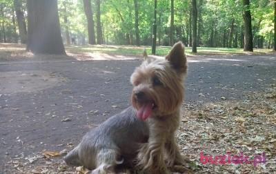 Przemyslaw, Male, 43, Łódź, Polska, Photo: 5