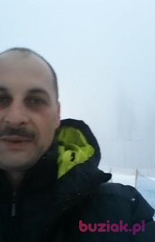 Arek, Mężczyzna, 53, Lisse, Holandia, Zdjęcie: 2