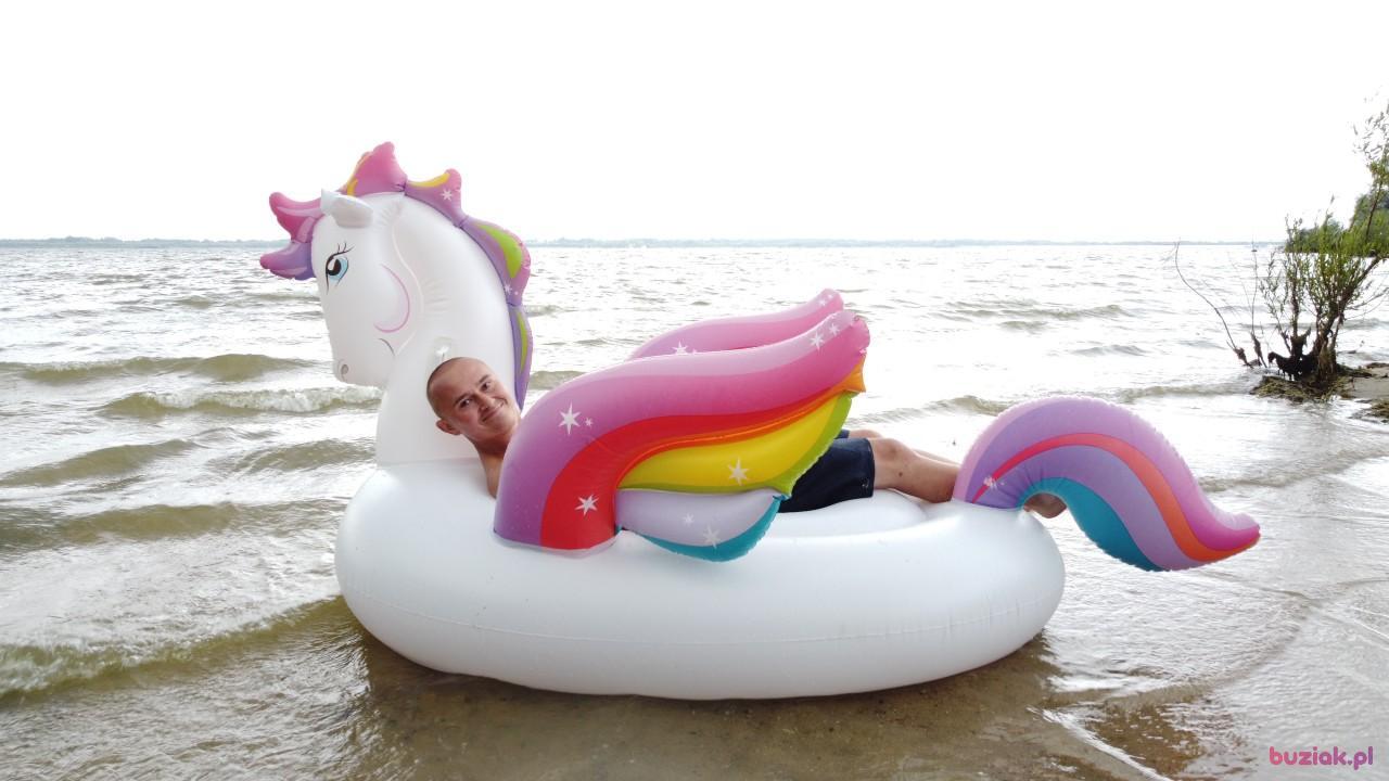 Michał, Male, 37, Zgierz, Polska, Photo: 513