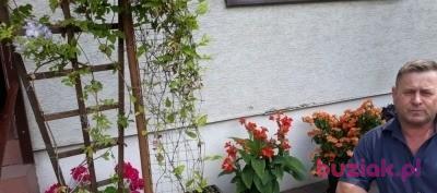 Grzegorz, Mężczyzna, 61, Kielce, Polska, Zdjęcie: 2