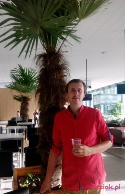 Przemek, Male, 44, Wrocław, Polska, Photo: 2