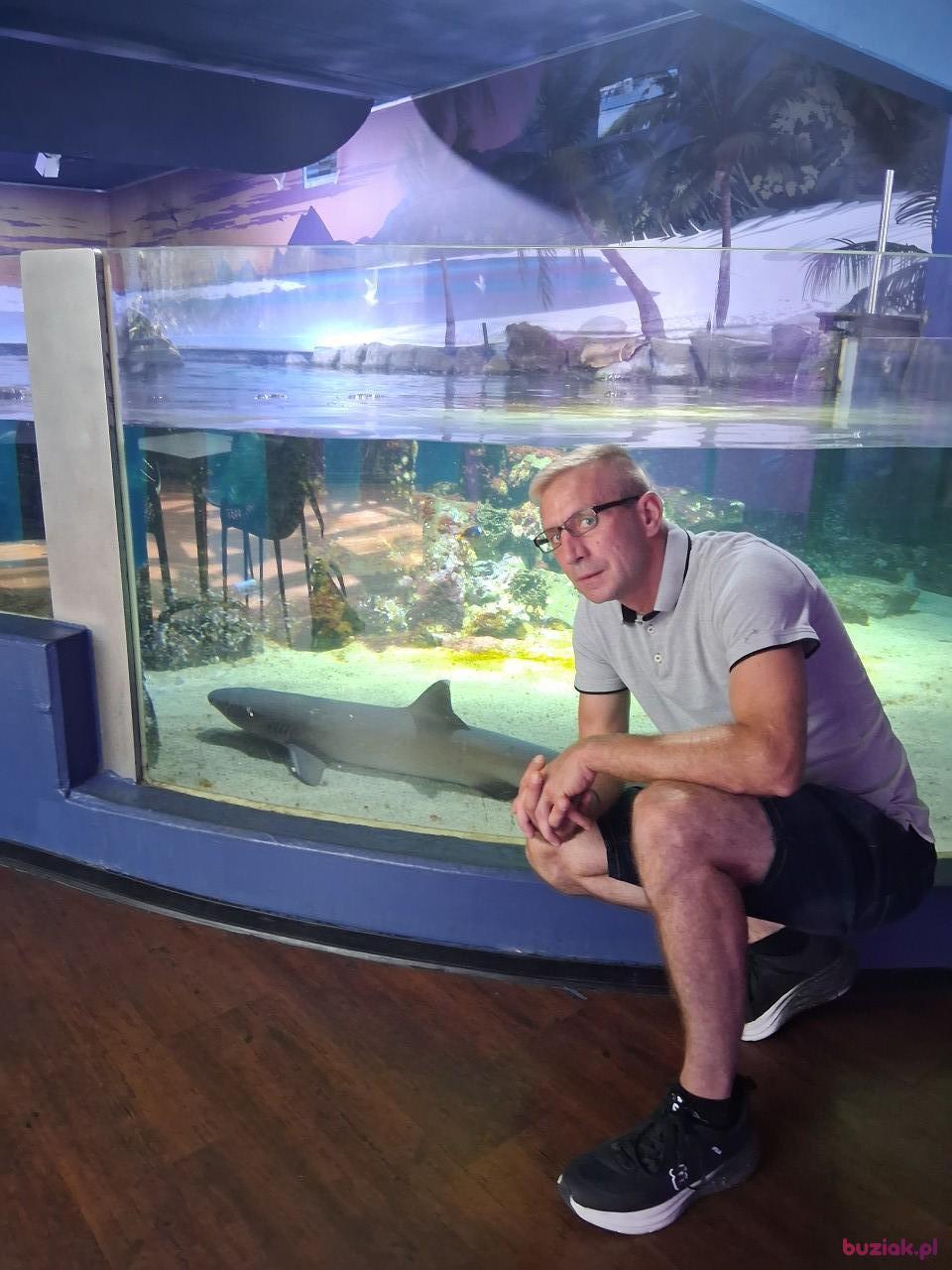 Marek, Male, 46, Duisburg, Niemcy, Photo: 2
