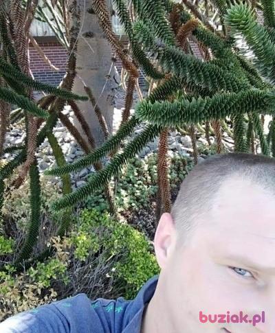 Mariusz, Mężczyzna, 39, Sieradz, Polska, Zdjęcie: 4