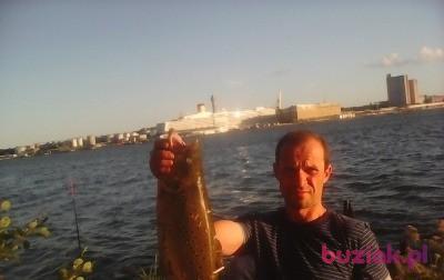 Artur, Mężczyzna, 53, Bytom, Polska, Zdjęcie: 3