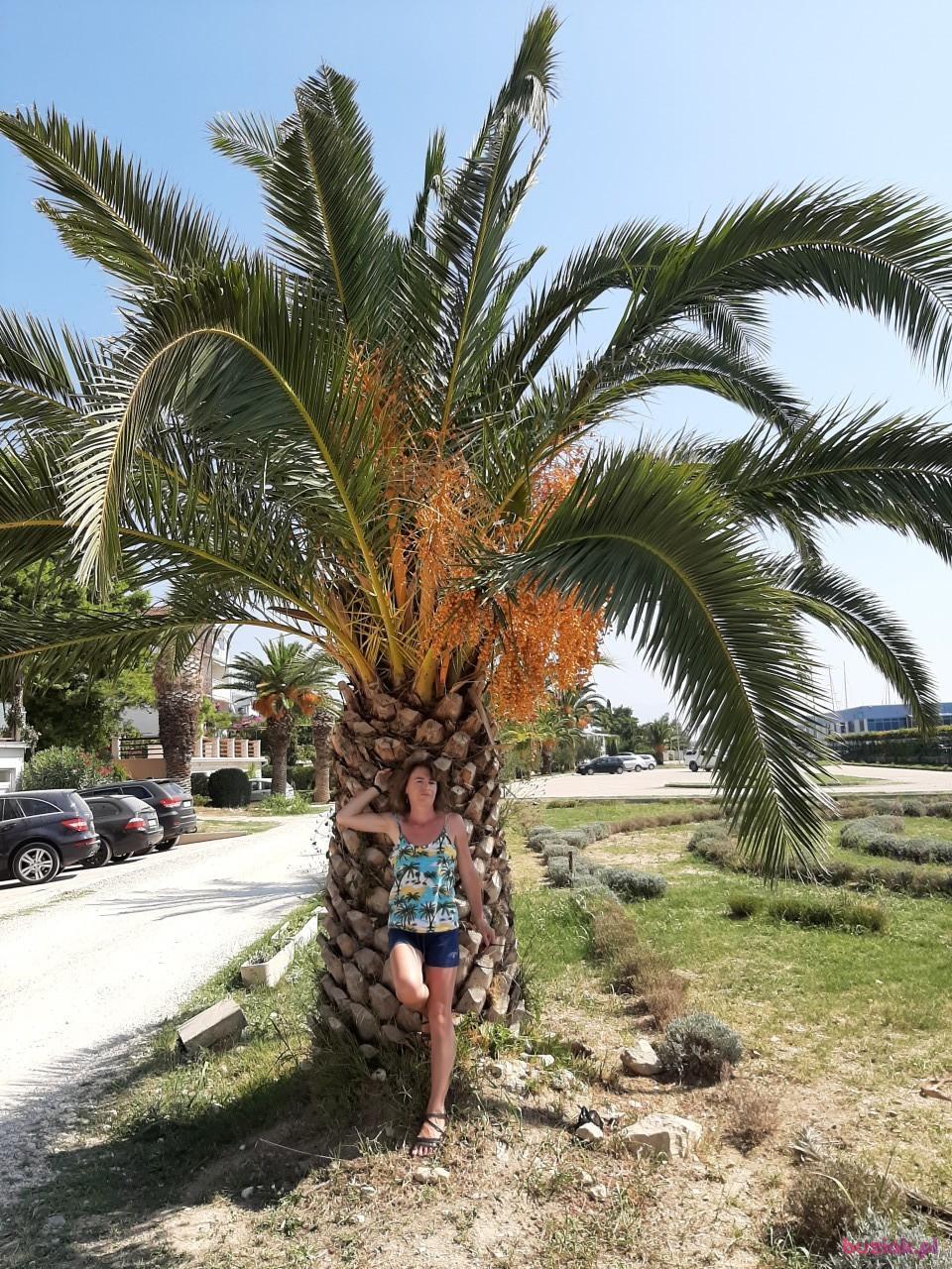 Aleksandra001, Female, 46, Rybnik, Polska, Photo: 2