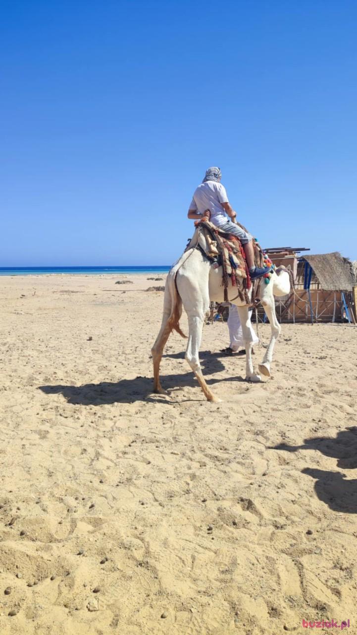 Bogdan, Male, 46, Rabka, Polska, Photo: 8