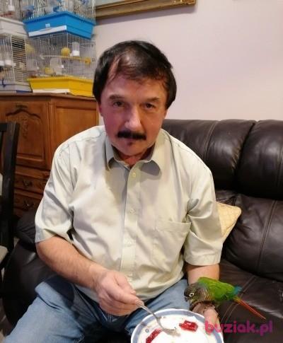 Zdzislaw, Male, 69, Kraków, Polska, Photo: 3