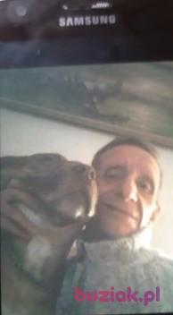Ryszard, Mężczyzna, 63, Hilton, Wielka Brytania, Zdjęcie: 9