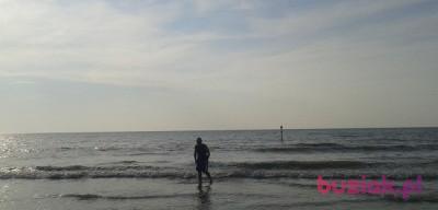 michal, Male, 52, Katowice, Polska, Photo: 3