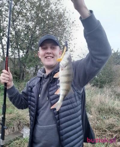 Daniel, Mężczyzna, 33, Wielka Brytania, Zdjęcie: 2