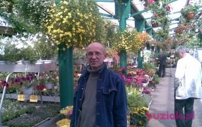 Waldek, Mężczyzna, 65, Lubin, Polska, Zdjęcie: 5