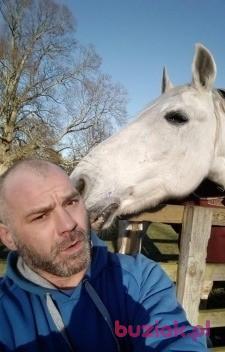 pgtips, Mężczyzna, 51, Wielka Brytania, Zdjęcie: 5