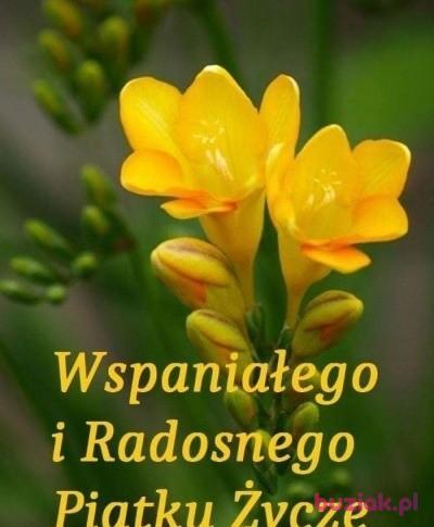 Wacek, Male, 66, Skierniewice, Polska, Photo: 10