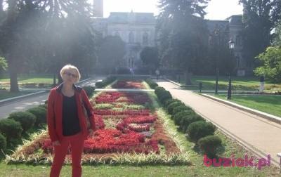 Małgosia, Kobieta, 64, Radomsko, Polska, Zdjęcie: 1