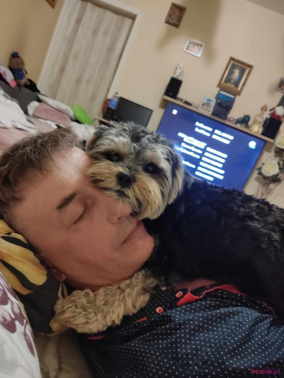 Robert, Male, 50, Kraków, Polska, Photo: 2