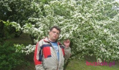 Miroslaw, Mężczyzna, 51, Nysa, Polska, Zdjęcie: 5