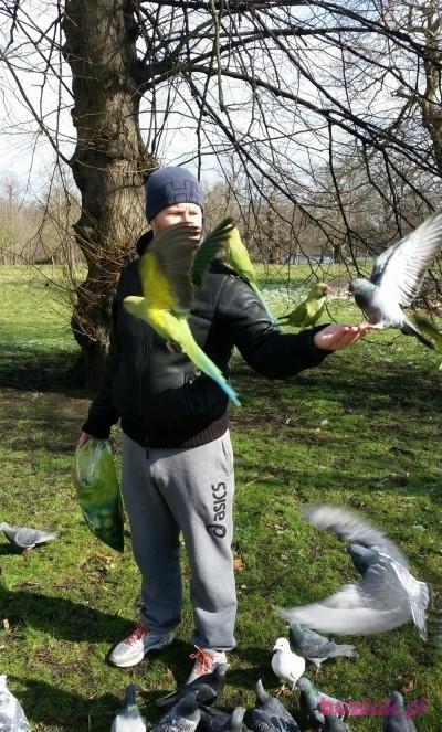Aureliusz, Mężczyzna, 49, Westminster, Wielka Brytania, Zdjęcie: 12