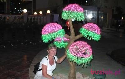 Żena, Kobieta, 69, Warszawa, Polska, Zdjęcie: 2