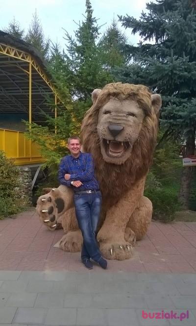 Waldemar, Mężczyzna, 32, Malbork, Polska, Zdjęcie: 2