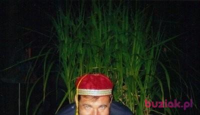Grzegorz, Mężczyzna, 69, Częstochowa, Polska, Zdjęcie: 2