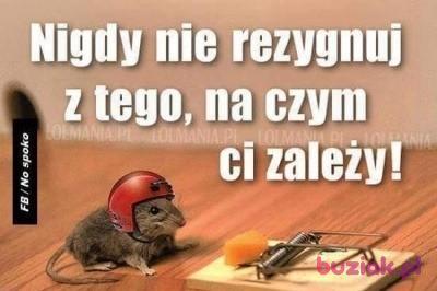 Zbyszek, Mężczyzna, 34, Andrychów, Polska, Zdjęcie: 3