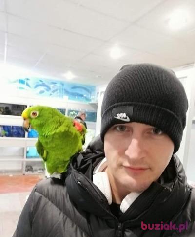 Patryk, Mężczyzna, 35, Świdwin, Polska, Zdjęcie: 4