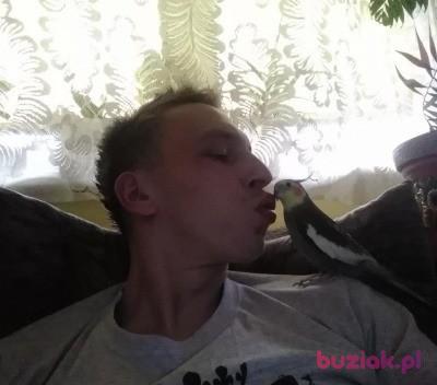 Areczek, Male, 34, Katowice, Polska, Photo: 5