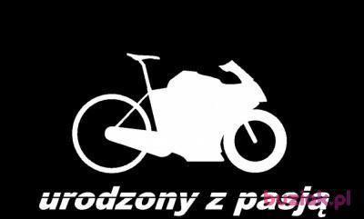 Diablik, Mężczyzna, 36, Grójec, Polska, Zdjęcie: 4