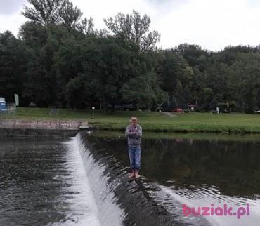 marcin, Mężczyzna, 37, Bytom, Polska, Zdjęcie: 2