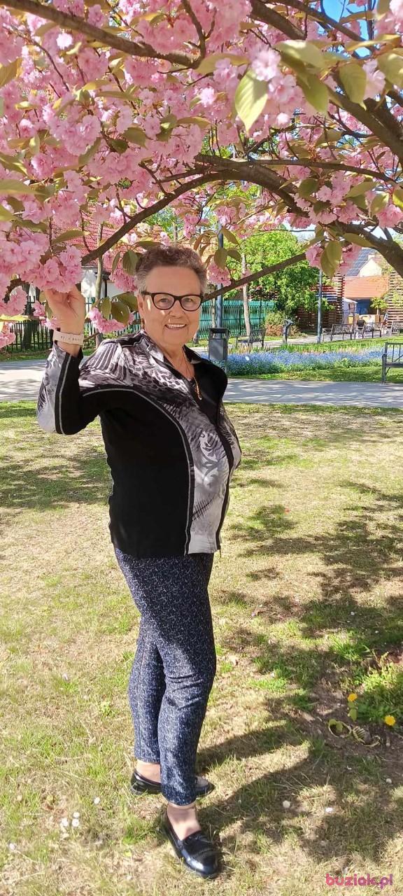 Elzbieta, Kobieta, 72, Polkowice, Polska, Zdjęcie: 18