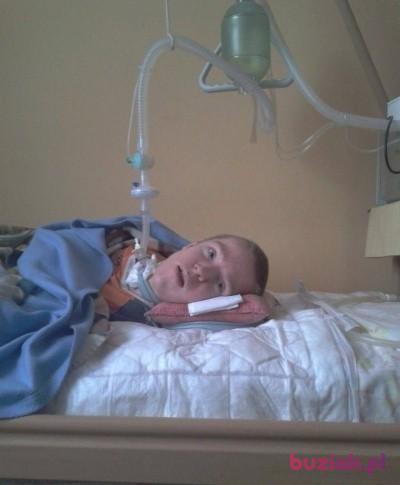 Krzysztof , Mężczyzna, 33, Sokołów Podlaski, Polska, Zdjęcie: 2
