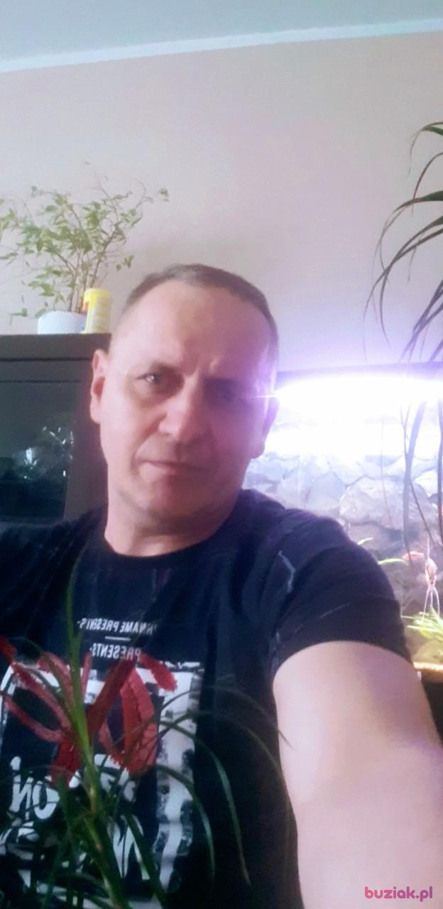 Kamil, Mężczyzna, 55, Częstochowa, Polska, Zdjęcie: 3