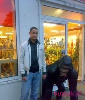 hawlik, Male, 41, Elbląg, Polska, Photo: 3