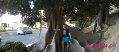 Sebastian, Mężczyzna, 47, Poznań, Polska, Zdjęcie: 2
