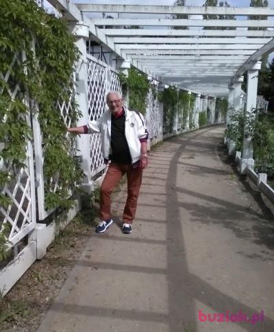 Arni, Mężczyzna, 79, Gdynia, Polska, Zdjęcie: 6